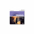 D´Addario EJ 13