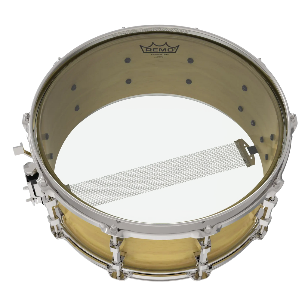 Remo Ambassador Clear - BA-0313-00