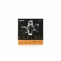D'Addario KA310 Kaplan
